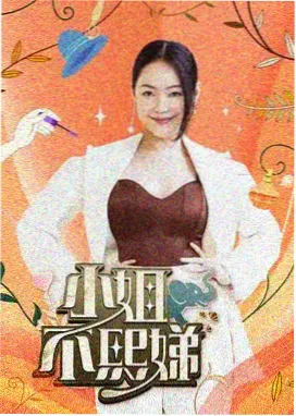 手艺人 综艺海报